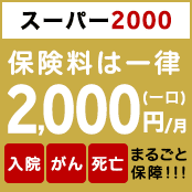 スーパー2000